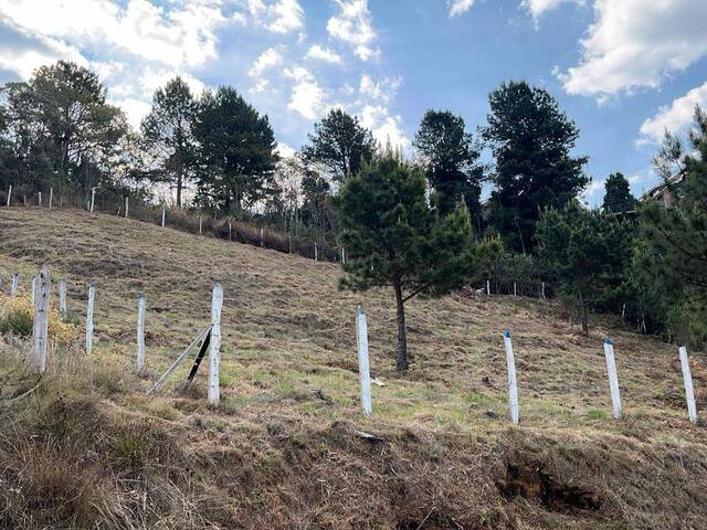 #TE08 - Área para Venda em Campos do Jordão - SP