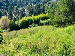 #TE01 - Terreno para Venda em Campos do Jordão - SP