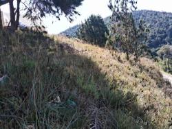 #TE02 - Terreno para Venda em Campos do Jordão - SP